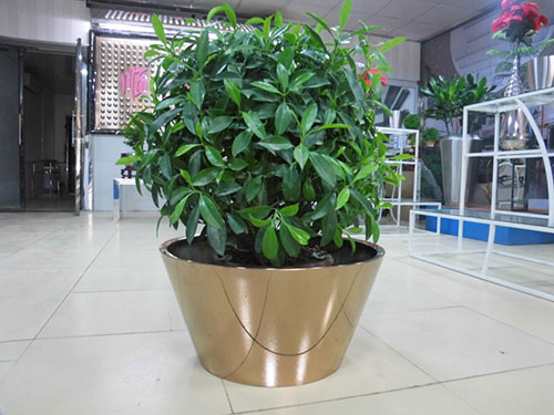 廣東汕頭不銹鋼花盆哪家做的好？